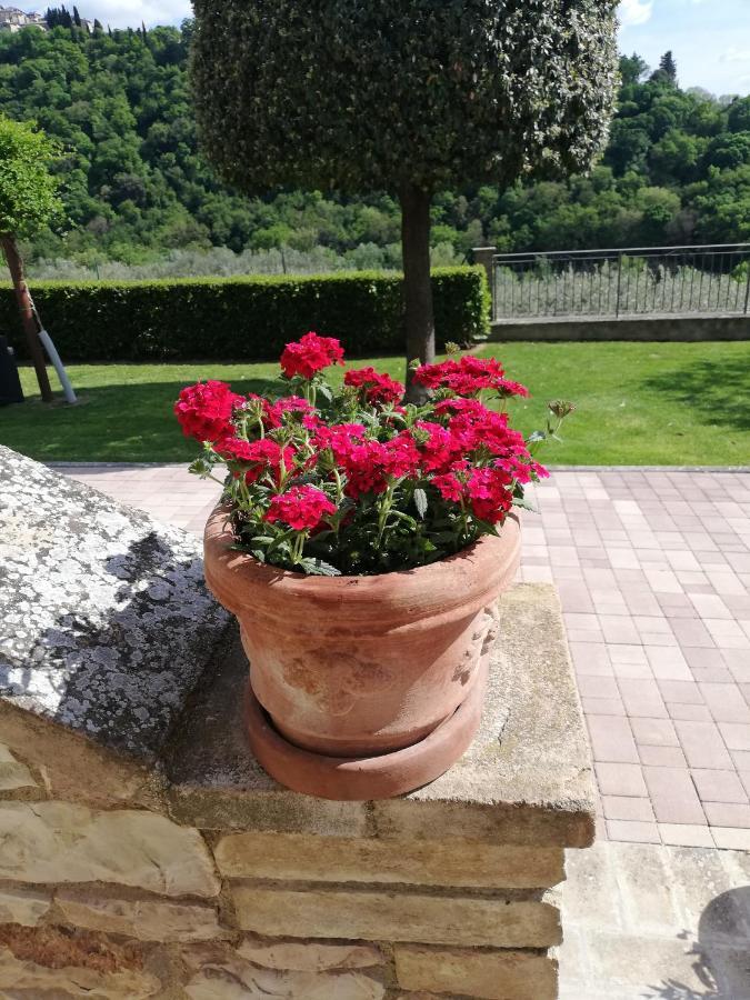 Bed and Breakfast La Casa Tra Gli Ulivi Asís Exterior foto