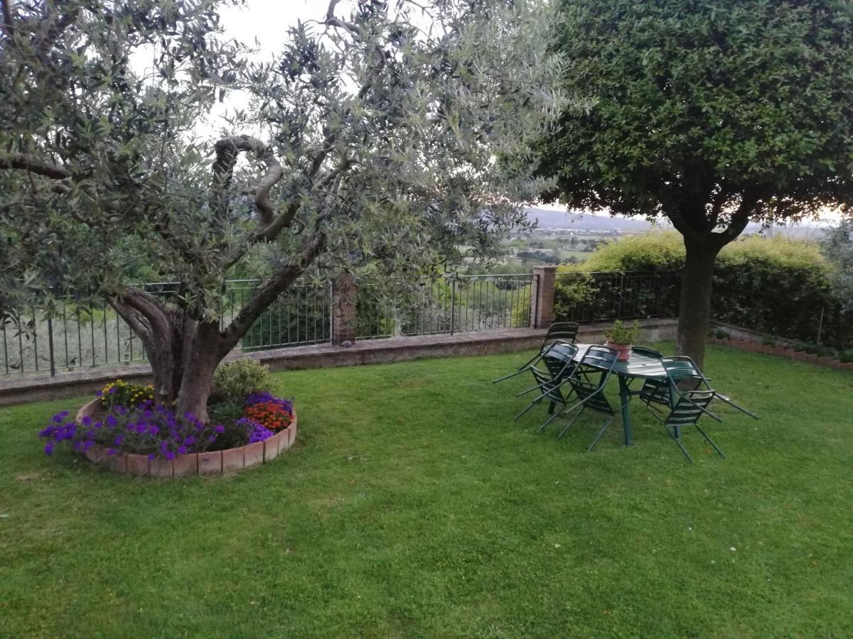 Bed and Breakfast La Casa Tra Gli Ulivi Asís Exterior foto