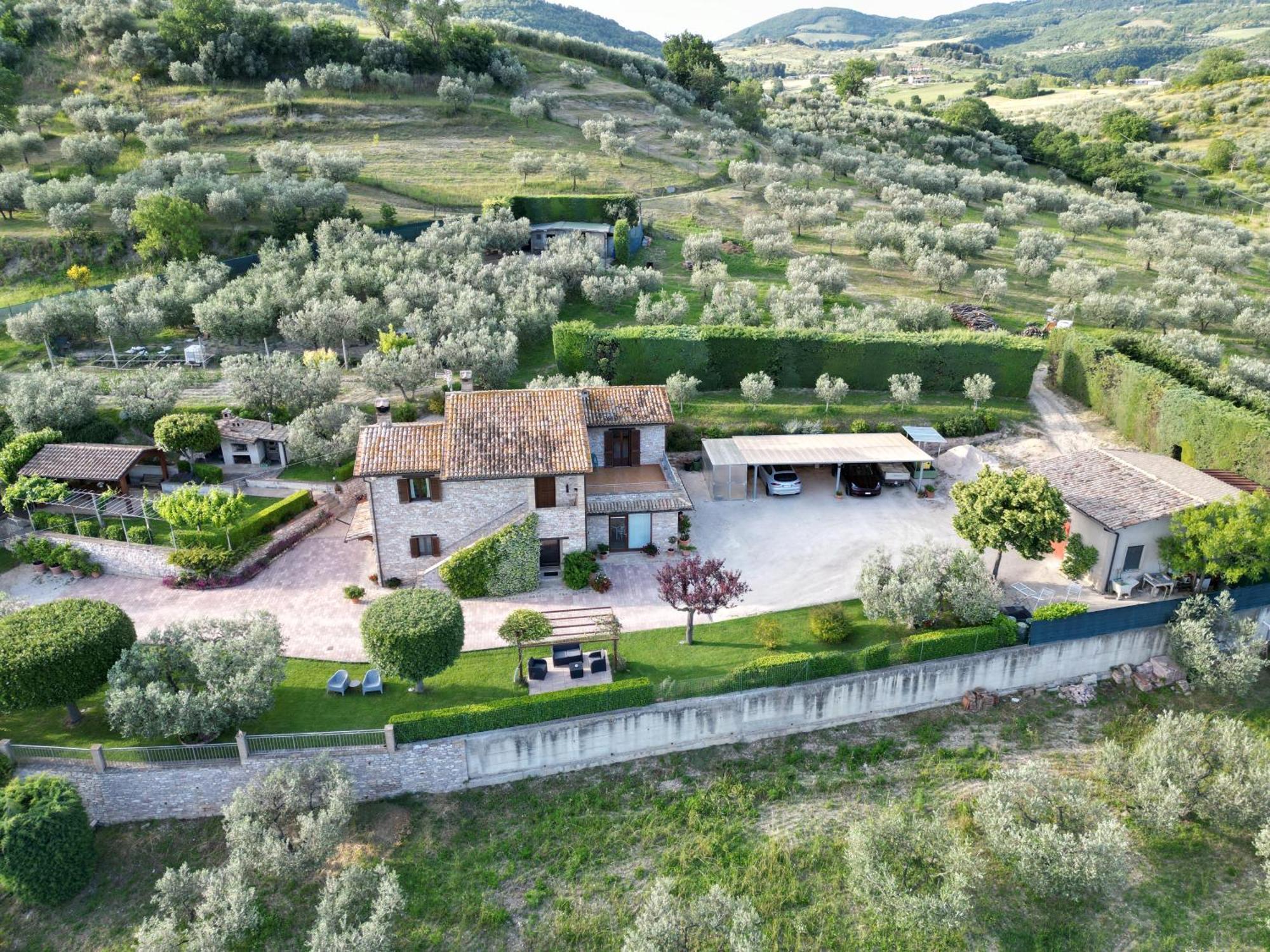 Bed and Breakfast La Casa Tra Gli Ulivi Asís Exterior foto
